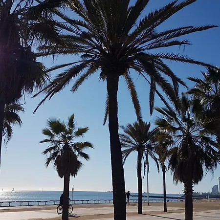 New! Amazing 2 Bedroom In Rambla Del Poblenou