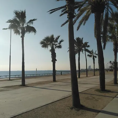 New! Amazing 2 Bedroom In Rambla Del Poblenou