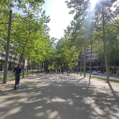 Apartamento New! Amazing 2 Bedroom In Rambla Del Poblenou Barcelona