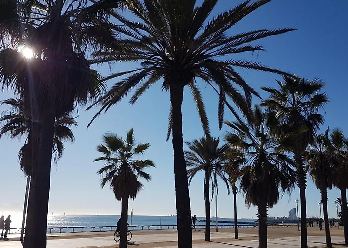 New! Amazing 2 Bedroom In Rambla Del Poblenou