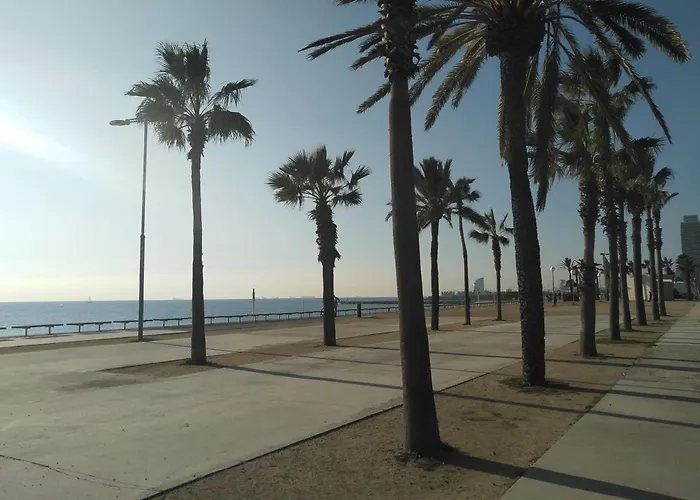 New! Amazing 2 Bedroom In Rambla Del Poblenou