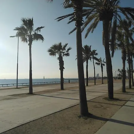아파트 New! Amazing 2 Bedroom In Rambla Del Poblenou *