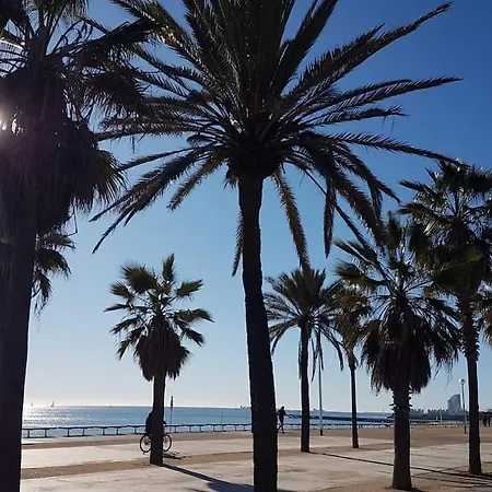 아파트 New! Amazing 2 Bedroom In Rambla Del Poblenou